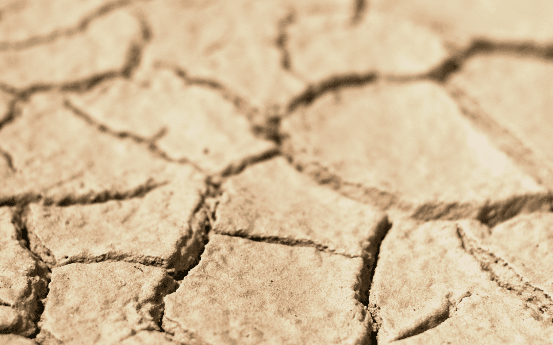 Tackling Water Scarcity in South Africa with Sustainable Solutions