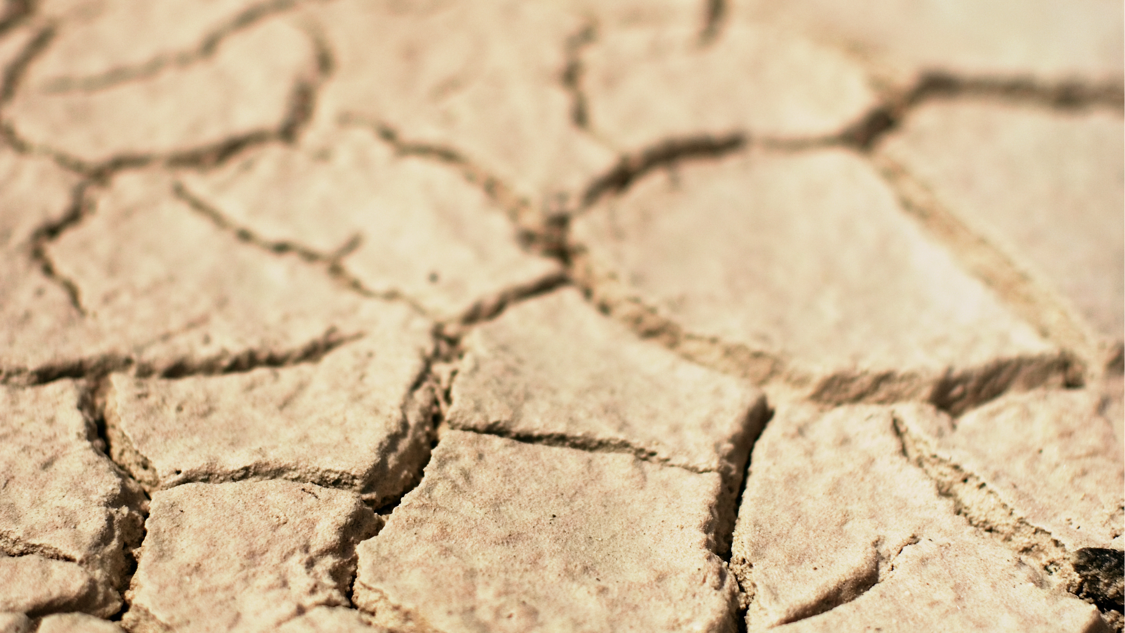 Drought-affected cracked soil highlighting urgent need for sustainable water solutions in South Africa
