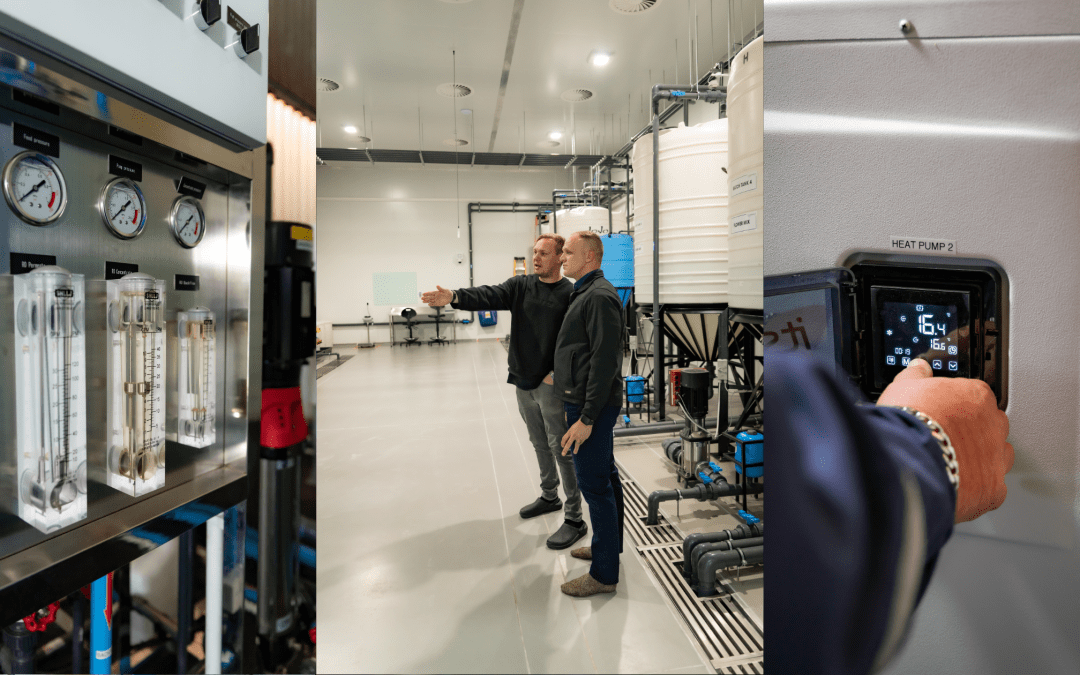 Integrated Water Management Solution for a Cannabis Facility in Johannesburg